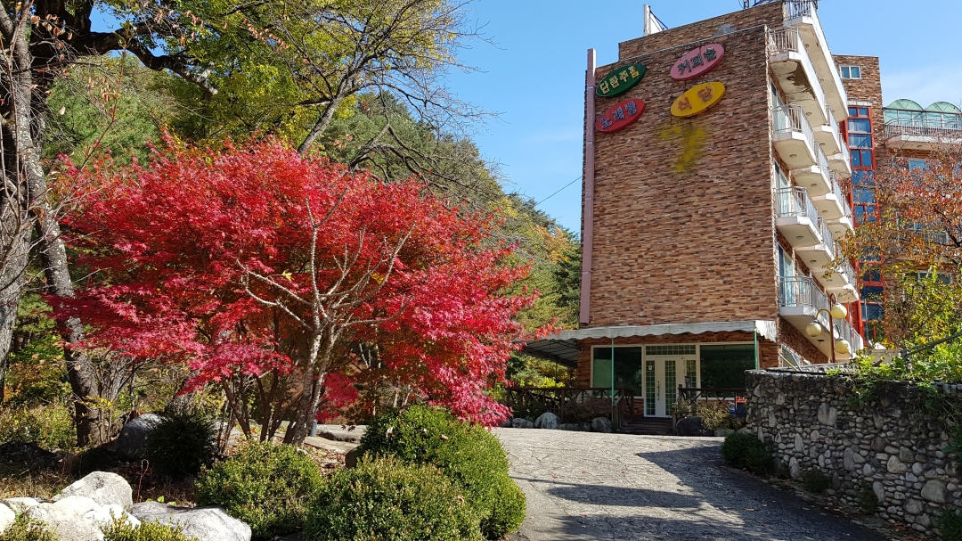 호텔 대표 사진